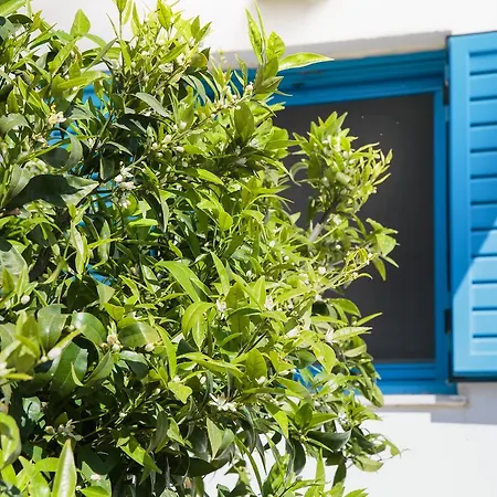 Tatil Evi Paradis Beach Molos (Paros)